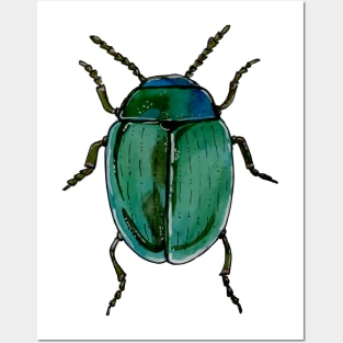 Beetle Posters and Art